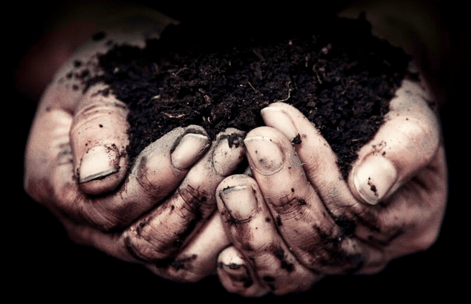 Mãos e terra