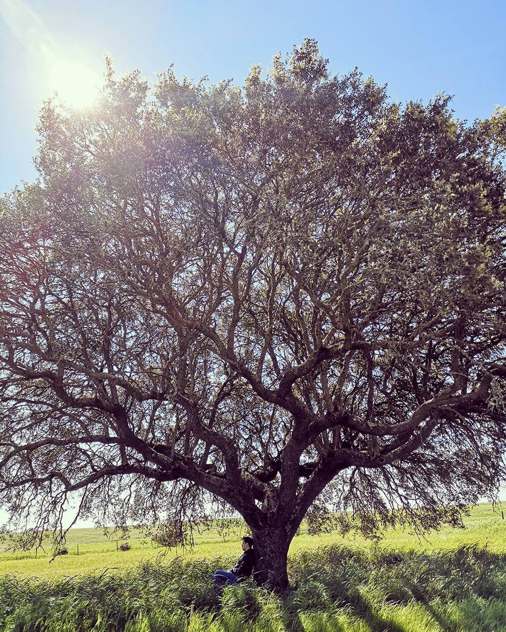 IMG_20210702_115755_095